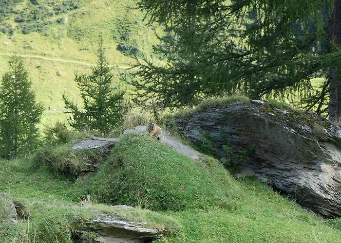 בית הארחה Fernerblick 3*