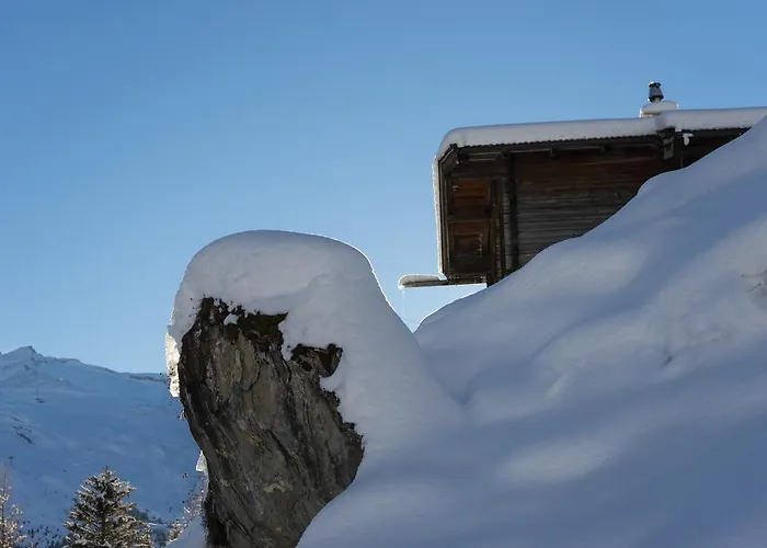 Fernerblick 3* טוקס